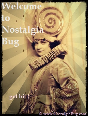 Welcome to the Nostalgia Bug Website